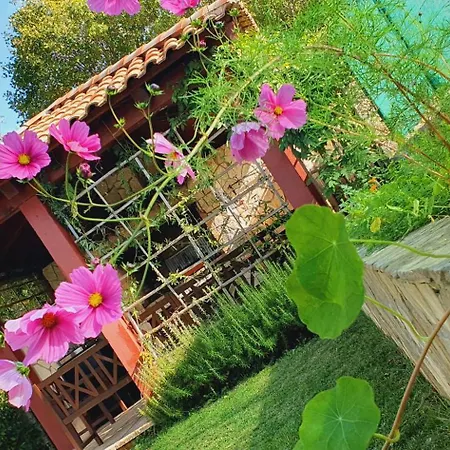 Larossa House * Dobrinj